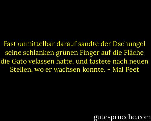 Fast unmittelbar darauf sandte der Dschungel seine schlanken grünen Finger auf die Fläche die Gato velassen hatte, und tastete nach neuen Stellen, wo er wachsen konnte. - Mal Peet