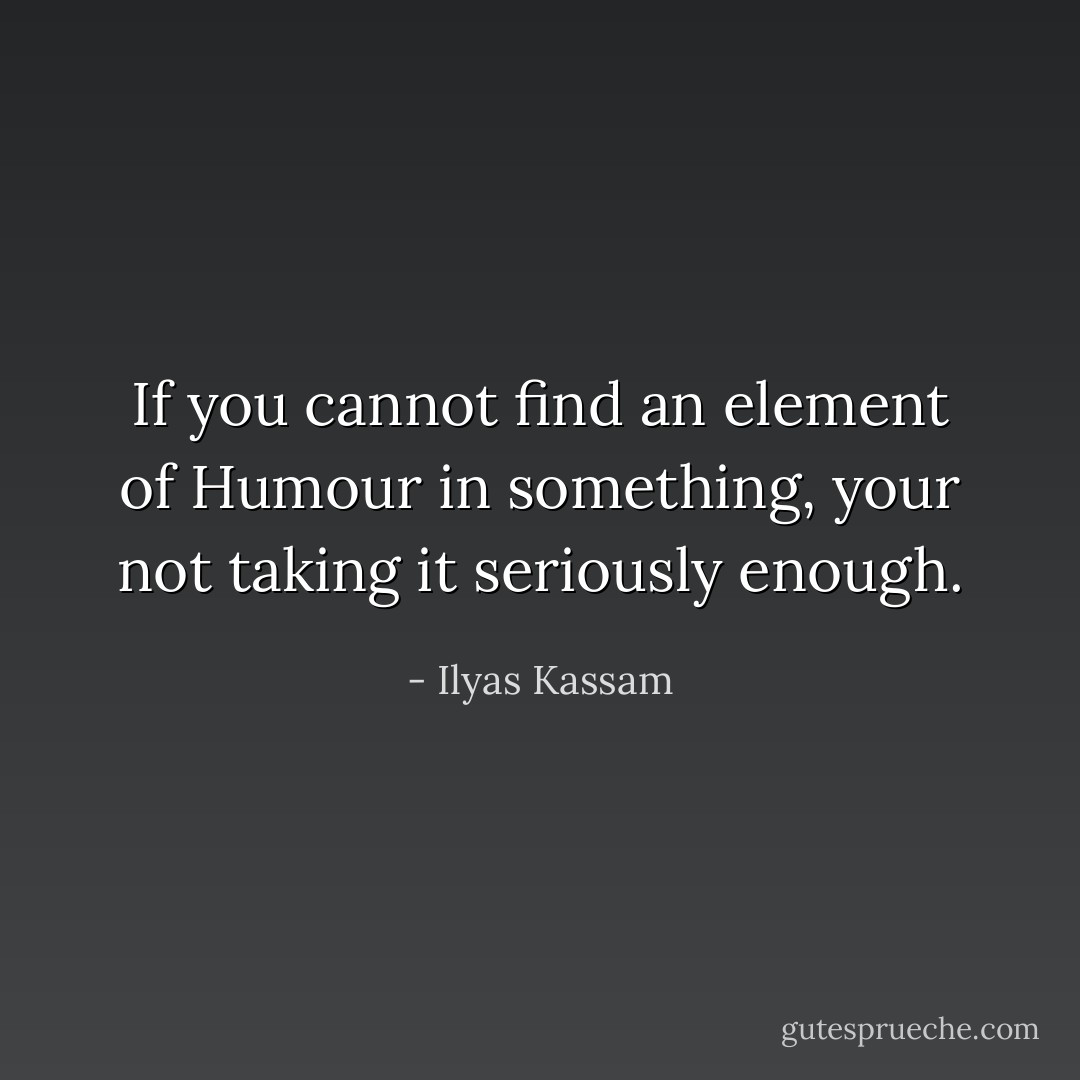 If you cannot find an element of Humour in something, your not taking it seriously enough. - Ilyas Kassam