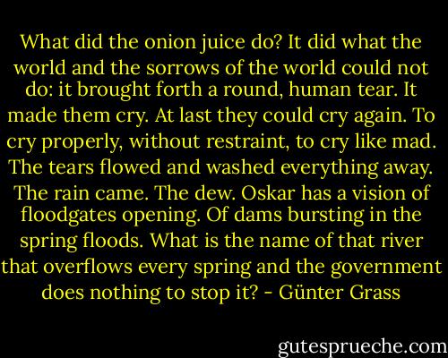 What did the onion juice do? It did what the world and the sorrows of the world could not do: it brought forth a round, human tear. It made them cry. At last they could cry again. To cry properly, without restraint, to cry like mad. The tears flowed and washed everything away. The rain came. The dew. Oskar has a vision of floodgates opening. Of dams bursting in the spring floods. What is the name of that river that overflows every spring and the government does nothing to stop it? - Günter Grass