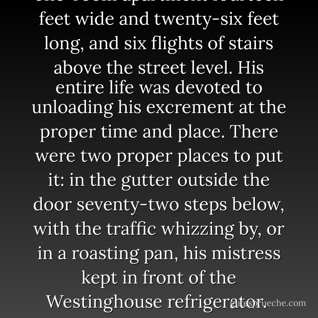 The girl with the greyhound was an assistant lighting director for a musical comedy about American history, and she kept her poor greyhound, who was named <i>Lancer</i>, in a one-room apartment fourteen feet wide and twenty-six feet long, and six flights of stairs above the street level. His entire life was devoted to unloading his excrement at the proper time and place. There were two proper places to put it: in the gutter outside the door seventy-two steps below, with the traffic whizzing by, or in a roasting pan, his mistress kept in front of the Westinghouse refrigerator.<br /><br />Lancer had a very small brain, but he must have suspected from time to time, just as Wayne Hoobler did, that some kind of terrible mistake had been made. - Kurt Vonnegut Jr.