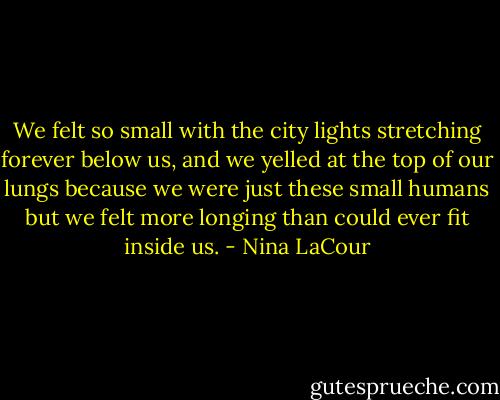 We felt so small with the city lights stretching forever below us, and we yelled at the top of our lungs because we were just these small humans but we felt more longing than could ever fit inside us. - Nina LaCour