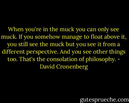When you're in the muck you can only see muck. If you somehow manage to float above it, you still see the muck but you see it from a different perspective. And you see other things too. That's the consolation of philosophy. - David Cronenberg