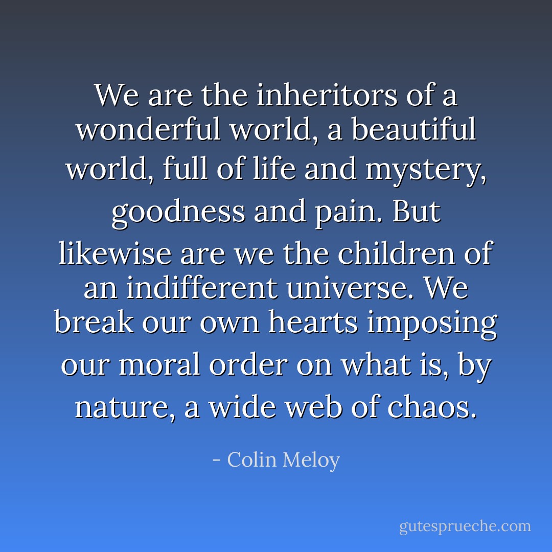 We are the inheritors of a wonderful world, a beautiful world, full of life and mystery, goodness and pain. But likewise are we the children of an indifferent universe. We break our own hearts imposing our moral order on what is, by nature, a wide web of chaos. - Colin Meloy