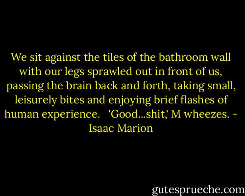 We sit against the tiles of the bathroom wall with our legs sprawled out in front of us, passing the brain back and forth, taking small, leisurely bites and enjoying brief flashes of human experience. <br /><br />'Good...shit,' M wheezes. - Isaac Marion