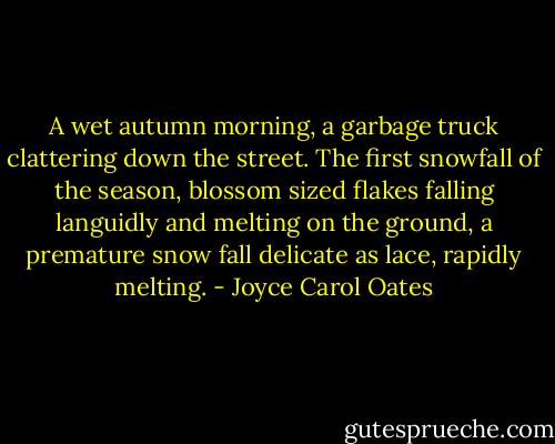 A wet autumn morning, a garbage truck clattering down the street. The first snowfall of the season, blossom sized flakes falling languidly and melting on the ground, a premature snow fall delicate as lace, rapidly melting. - Joyce Carol Oates