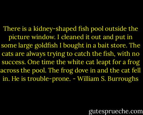There is a kidney-shaped fish pool outside the picture window. I cleaned it out and put in some large goldfish I bought in a bait store. The cats are always trying to catch the fish, with no success. One time the white cat leapt for a frog across the pool. The frog dove in and the cat fell in. He is trouble-prone. - William S. Burroughs