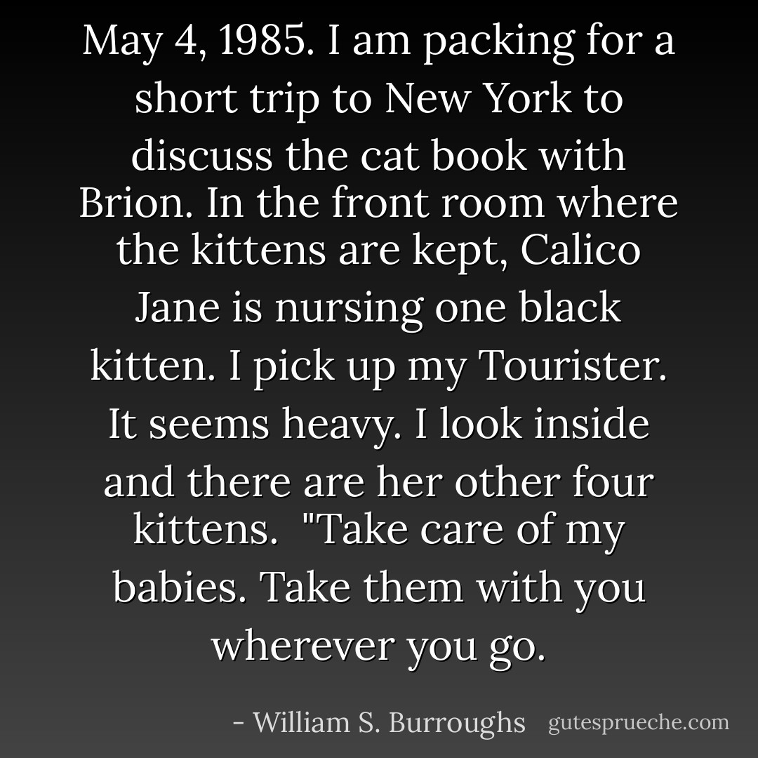May 4, 1985. I am packing for a short trip to New York to discuss the cat book with Brion. In the front room where the kittens are kept, Calico Jane is nursing one black kitten. I pick up my Tourister. It seems heavy. I look inside and there are her other four kittens.<br /><br />"Take care of my babies. Take them with you wherever you go. - William S. Burroughs