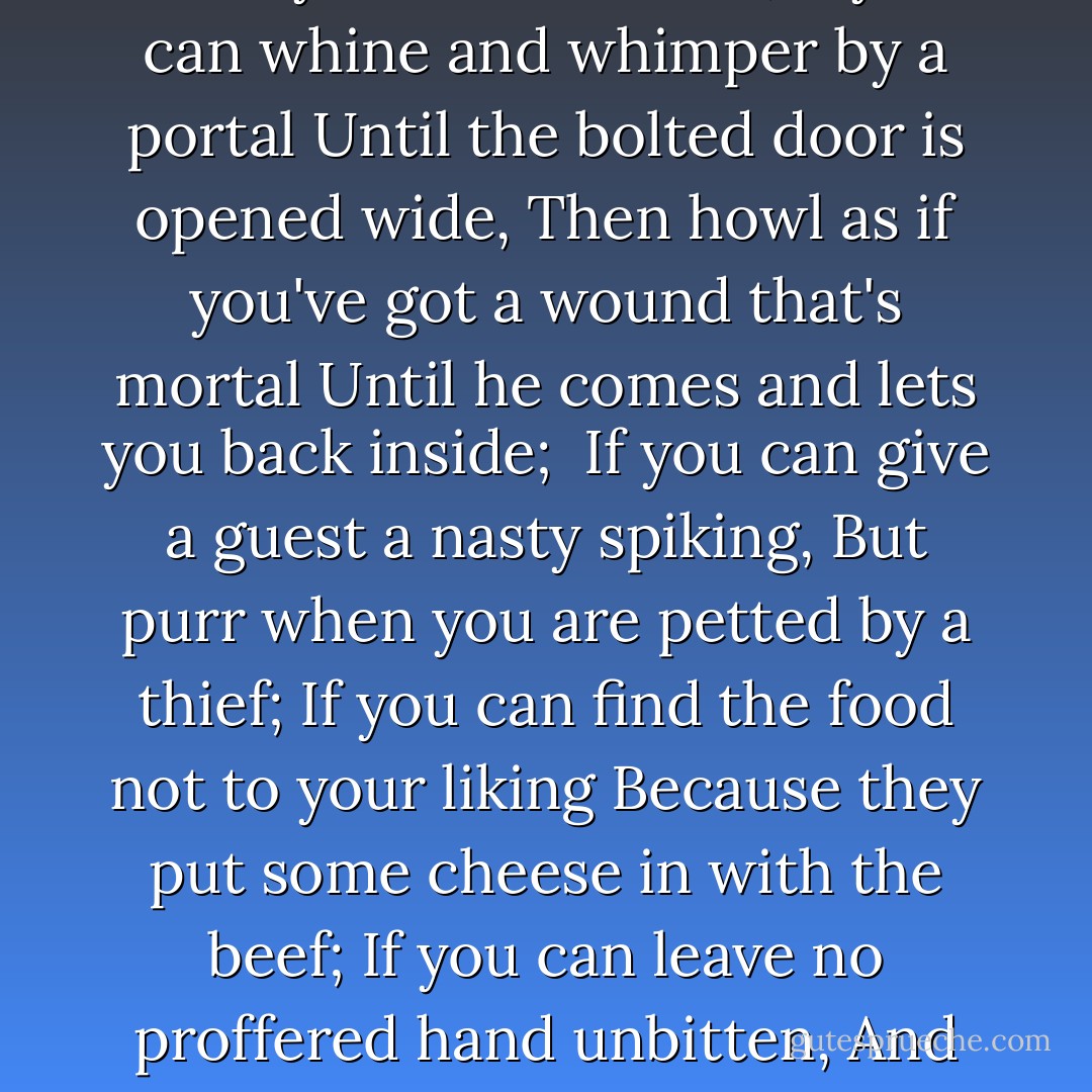 If you can try to nap where someone's sitting,<br />Although there is another empty chair,<br />Then rub against his ankle without quitting<br />Until he rises from your favorite lair;<br />If you can whine and whimper by a portal<br />Until the bolted door is opened wide,<br />Then howl as if you've got a wound that's mortal<br />Until he comes and lets you back inside;<br /><br />If you can give a guest a nasty spiking,<br />But purr when you are petted by a thief;<br />If you can find the food not to your liking<br />Because they put some cheese in with the beef;<br />If you can leave no proffered hand unbitten,<br />And pay no heed to any rule or ban,<br />then all will say you are a Cat, my kitten.<br />And -- which is more -- you'll make a fool of Man! - Henry N. Beard