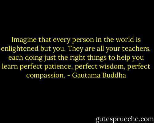 ‎Imagine that every person in the world is enlightened but you. They are all your teachers, each doing just the right things to help you learn perfect patience, perfect wisdom, perfect compassion. - Gautama Buddha
