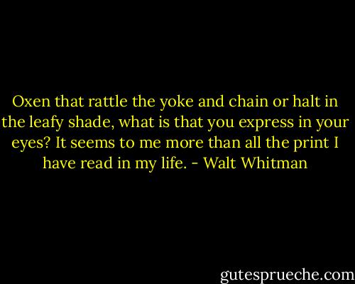 Oxen that rattle the yoke and chain or halt in the leafy shade, what is that you express in your eyes? It seems to me more than all the print I have read in my life. - Walt Whitman