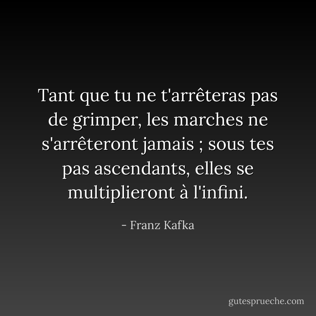 Tant que tu ne t'arrêteras pas de grimper, les marches ne s'arrêteront jamais ; sous tes pas ascendants, elles se multiplieront à l'infini. - Franz Kafka