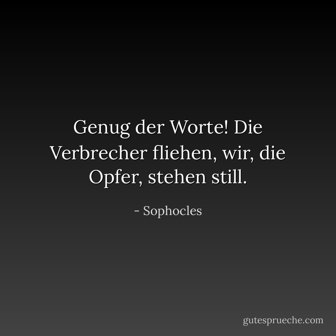 Genug der Worte! Die Verbrecher fliehen, wir, die Opfer, stehen still. - Sophocles<