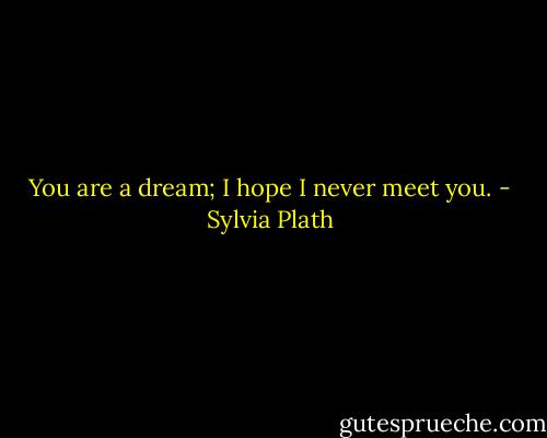 You are a dream; I hope I never meet you. - Sylvia Plath