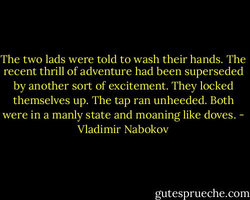 The two lads were told to wash their hands. The recent thrill of adventure had been superseded by another sort of excitement. They locked themselves up. The tap ran unheeded. Both were in a manly state and moaning like doves. - Vladimir Nabokov