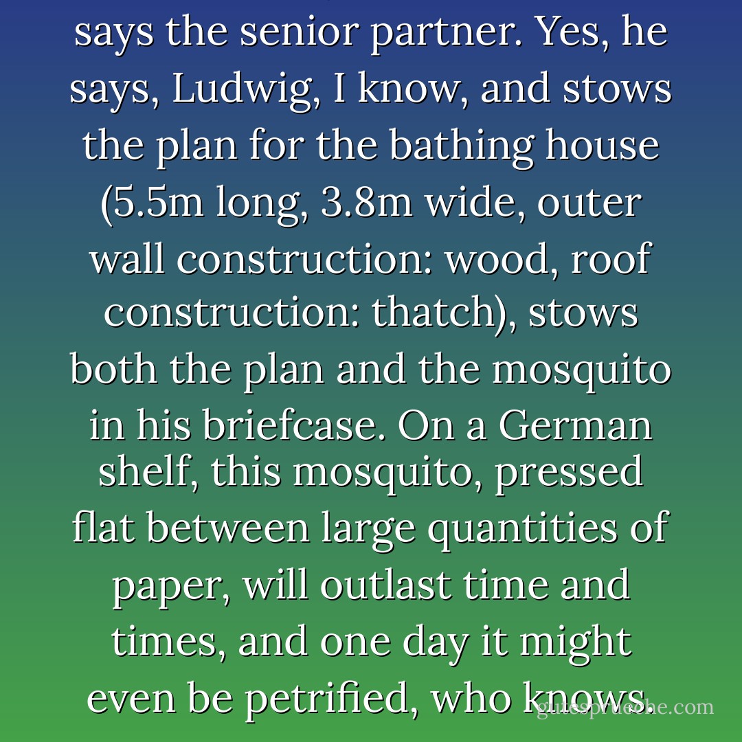 This here is your inheritance, says the senior partner. Yes, he says, Ludwig, I know, and stows the plan for the bathing house (5.5m long, 3.8m wide, outer wall construction: wood, roof construction: thatch), stows both the plan and the mosquito in his briefcase. On a German shelf, this mosquito, pressed flat between large quantities of paper, will outlast time and times, and one day it might even be petrified, who knows. - Jenny Erpenbeck