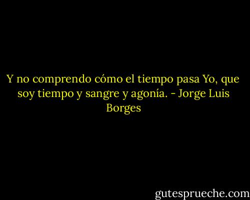 Y no comprendo cómo el tiempo pasa<br />Yo, que soy tiempo y sangre y agonía. - Jorge Luis Borges