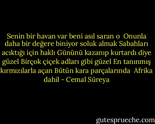 Senin bir havan var beni asıl saran o <br />Onunla daha bir değere biniyor soluk almak<br />Sabahları acıktığı için haklı<br />Gününü kazanıp kurtardı diye güzel<br />Birçok çiçek adları gibi güzel<br />En tanınmış kırmızılarla açan<br />Bütün kara parçalarında<br /> Afrika dahil - Cemal Süreya