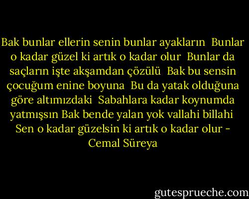 Bak bunlar ellerin senin bunlar ayakların <br />Bunlar o kadar güzel ki artık o kadar olur <br />Bunlar da saçların işte akşamdan çözülü <br />Bak bu sensin çocuğum enine boyuna <br />Bu da yatak olduğuna göre altımızdaki <br />Sabahlara kadar koynumda yatmışsın<br />Bak bende yalan yok vallahi billahi <br />Sen o kadar güzelsin ki artık o kadar olur - Cemal Süreya