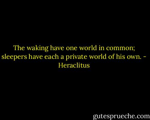 The waking have one world in common; sleepers have each a private world of his own. - Heraclitus