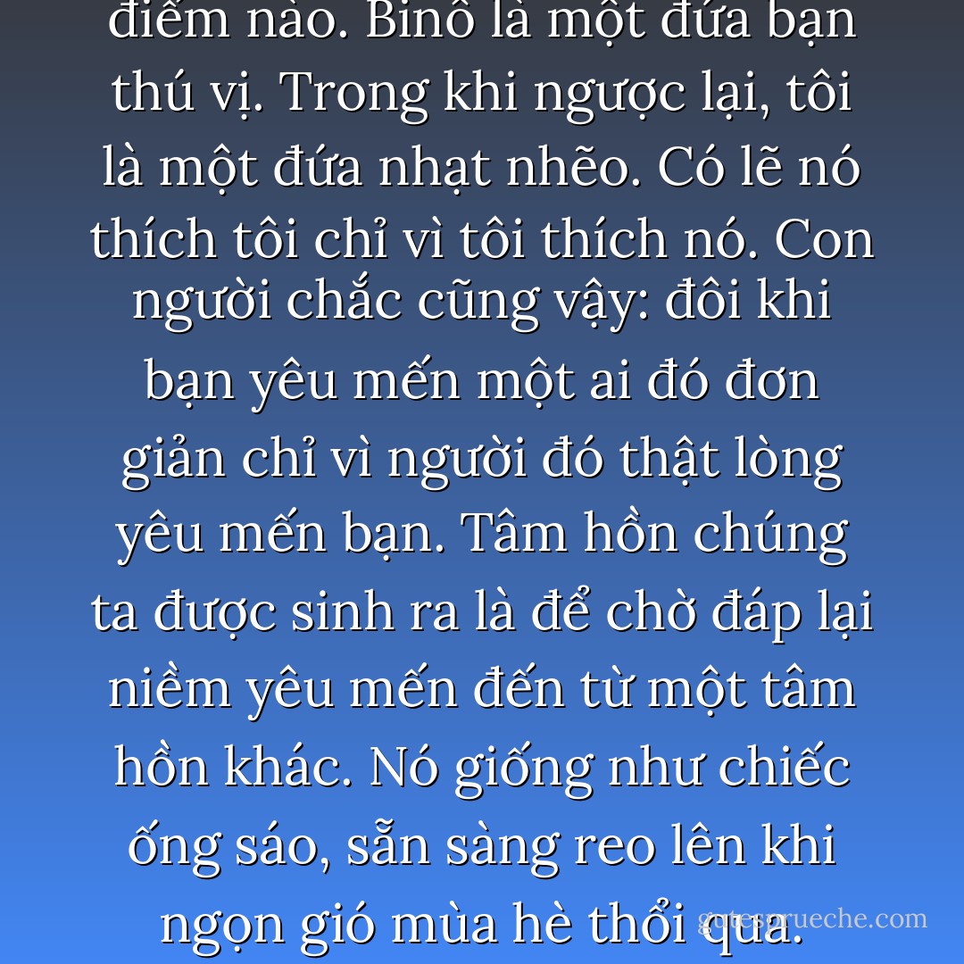 Tôi chẳng hiểu Binô thích tôi ở điểm nào.<br />Binô là một đứa bạn thú vị. Trong khi ngược lại, tôi là một đứa nhạt nhẽo. Có lẽ nó thích tôi chỉ vì tôi thích nó.<br />Con người chắc cũng vậy: đôi khi bạn yêu mến một ai đó đơn giản chỉ vì người đó thật lòng yêu mến bạn. Tâm hồn chúng ta được sinh ra là để chờ đáp lại niềm yêu mến đến từ một tâm hồn khác. Nó giống như chiếc ống sáo, sẵn sàng reo lên khi ngọn gió mùa hè thổi qua. - Nguyễn Nhật Ánh
