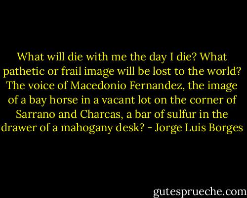 What will die with me the day I die? What pathetic or frail image will be lost to the world? The voice of Macedonio Fernandez, the image of a bay horse in a vacant lot on the corner of Sarrano and Charcas, a bar of sulfur in the drawer of a mahogany desk? - Jorge Luis Borges