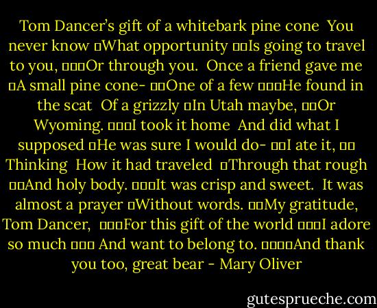 Tom Dancer’s gift of a whitebark pine cone<br /><br />You never know<br />	What opportunity<br />		Is going to travel to you,<br />			Or through you.<br /><br />Once a friend gave me<br />	A small pine cone-<br />		One of a few<br />			He found in the scat<br /><br />Of a grizzly<br />	In Utah maybe,<br />		Or Wyoming.<br />			I took it home<br /><br />And did what I supposed<br />	He was sure I would do-<br />		I ate it,<br />		 Thinking<br /><br />How it had traveled <br />	Through that rough<br />		And holy body.<br />			It was crisp and sweet.<br /><br />It was almost a prayer<br />	Without words.<br />		My gratitude, Tom Dancer, <br />			For this gift of the world<br />			I adore so much<br />			 And want to belong to.<br />				And thank you too, great bear - Mary Oliver