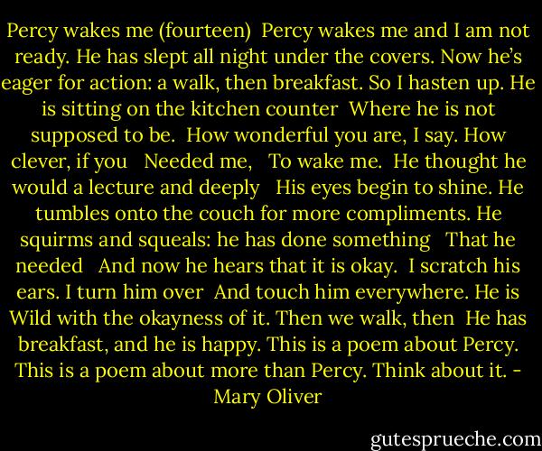 Percy wakes me (fourteen)<br /><br />Percy wakes me and I am not ready.<br />He has slept all night under the covers.<br />Now he’s eager for action: a walk, then breakfast.<br />So I hasten up. He is sitting on the kitchen counter<br /> Where he is not supposed to be. <br />How wonderful you are, I say. How clever, if you <br /> Needed me, <br /> To wake me. <br />He thought he would a lecture and deeply <br /> His eyes begin to shine.<br />He tumbles onto the couch for more compliments.<br />He squirms and squeals: he has done something <br /> That he needed <br /> And now he hears that it is okay. <br />I scratch his ears. I turn him over<br /> And touch him everywhere. He is<br />Wild with the okayness of it. Then we walk, then<br /> He has breakfast, and he is happy.<br />This is a poem about Percy.<br />This is a poem about more than Percy.<br />Think about it. - Mary Oliver