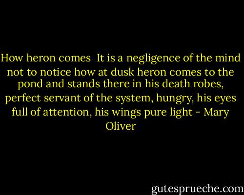 How heron comes<br /><br />It is a negligence of the mind<br />not to notice how at dusk<br />heron comes to the pond and<br />stands there in his death robes, perfect<br />servant of the system, hungry, his eyes<br />full of attention, his wings<br />pure light - Mary Oliver