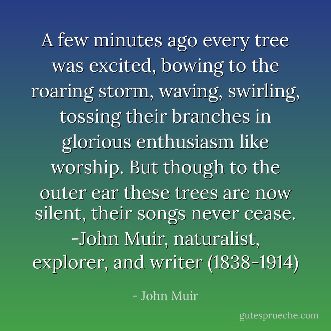 A few minutes ago every tree was excited, bowing to the roaring storm,<br />waving, swirling, tossing their branches in glorious enthusiasm like<br />worship. But though to the outer ear these trees are now silent, their<br />songs never cease. -John Muir, naturalist, explorer, and writer (1838-1914) - John Muir