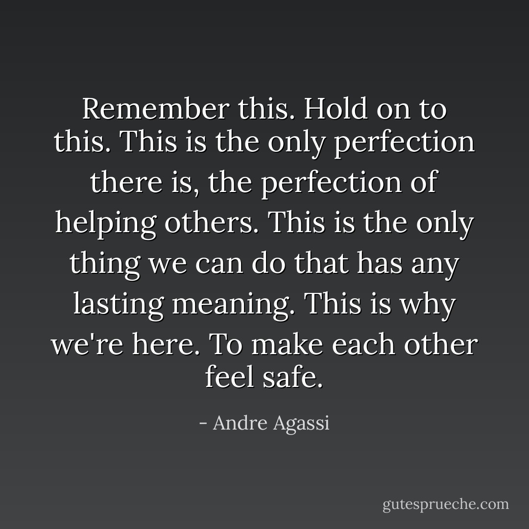 Remember this. Hold on to this. This is the only perfection there is, the perfection of helping others. This is the only thing we can do that has any lasting meaning. This is why we're here. To make each other feel safe. - Andre Agassi
