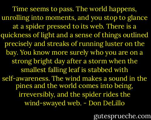 Time seems to pass. The world happens, unrolling into moments, and you stop to glance at a spider pressed to its web. There is a quickness of light and a sense of things outlined precisely and streaks of running luster on the bay. You know more surely who you are on a strong bright day after a storm when the smallest falling leaf is stabbed with self-awareness. The wind makes a sound in the pines and the world comes into being, irreversibly, and the spider rides the wind-swayed web. - Don DeLillo