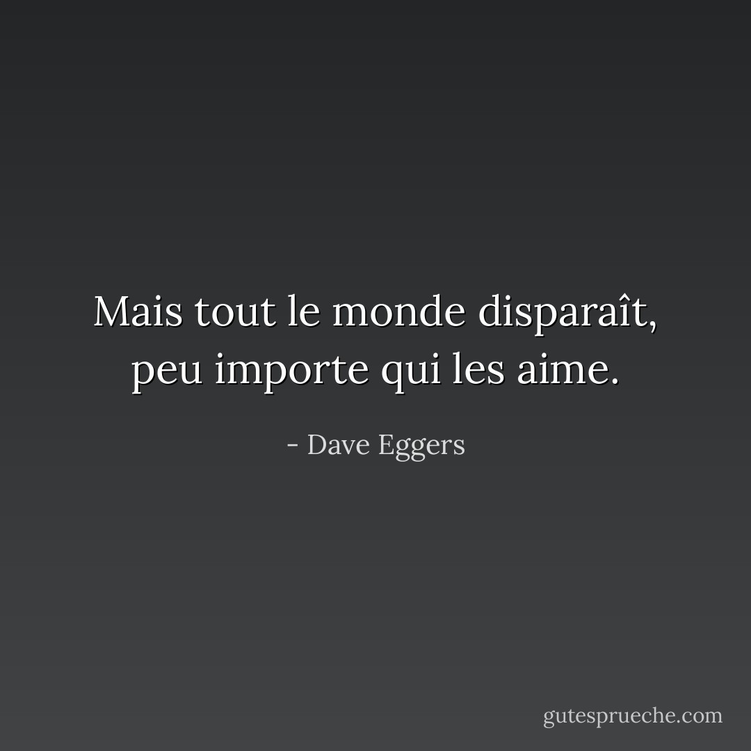 Mais tout le monde disparaît, peu importe qui les aime. - Dave Eggers