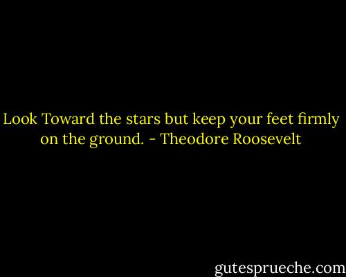 Look Toward the stars but keep your feet firmly on the ground. - Theodore Roosevelt