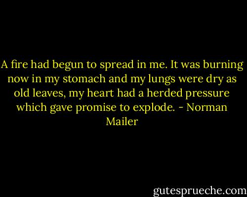 A fire had begun to spread in me. It was burning now in my stomach and my lungs were dry as old leaves, my heart had a herded pressure which gave promise to explode. - Norman Mailer