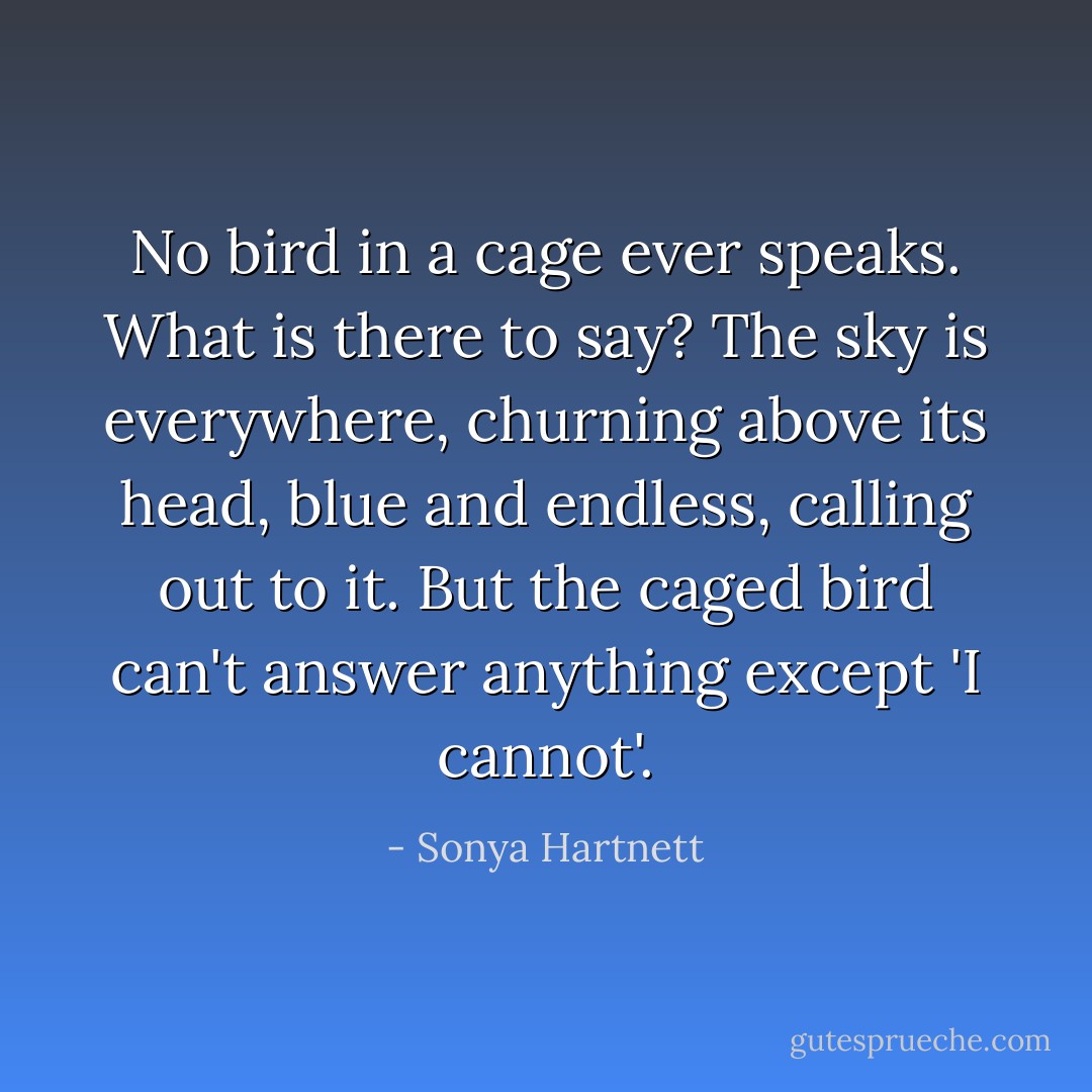 No bird in a cage ever speaks. What is there to say? The sky is everywhere, churning above its head, blue and endless, calling out to it. But the caged bird can't answer anything except 'I cannot'. - Sonya Hartnett