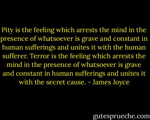 Pity is the feeling which arrests the mind in the presence of whatsoever is grave and constant in human sufferings and unites it with the human sufferer. Terror is the feeling which arrests the mind in the presence of whatsoever is grave and constant in human sufferings and unites it with the secret cause. - James Joyce