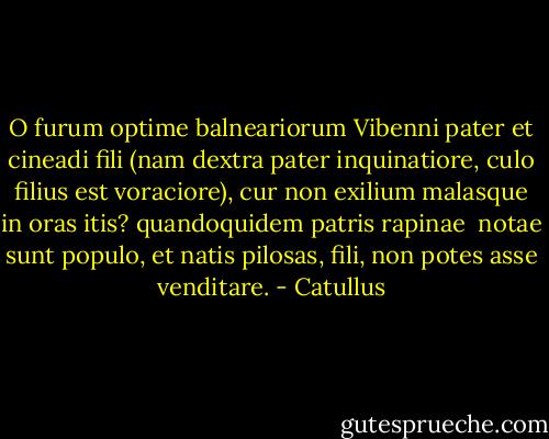 O furum optime balneariorum<br />Vibenni pater et cineadi fili<br />(nam dextra pater inquinatiore,<br />culo filius est voraciore),<br />cur non exilium malasque in oras<br />itis? quandoquidem patris rapinae <br />notae sunt populo, et natis pilosas,<br />fili, non potes asse venditare. - Catullus