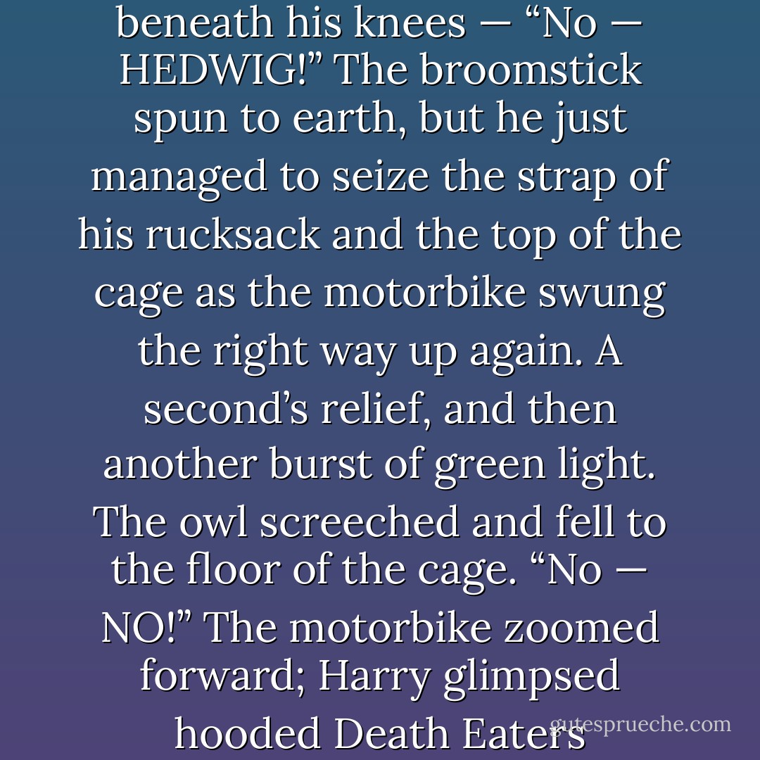 Harry lost any sense of where they were: Streetlights above him, yells around him, he was clinging to the sidecar for dear life. Hedwig’s cage, the Firebolt, and his rucksack slipped from beneath his knees —<br />“No — HEDWIG!”<br />The broomstick spun to earth, but he just managed to seize the strap of his rucksack and the top of the cage as the motorbike swung the right way up again. A second’s relief, and then another burst of green light. The owl screeched and fell to the floor of the cage.<br />“No — NO!”<br />The motorbike zoomed forward; Harry glimpsed hooded Death Eaters scattering as Hagrid blasted through their circle.<br />“Hedwig — <i>Hedwig</i> —”<br />But the owl lay motionless and pathetic as a toy on the floor of her cage. - J.K. Rowling