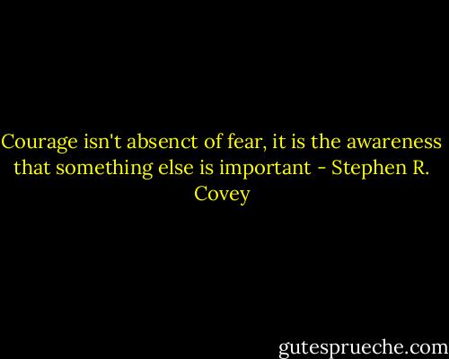 Courage isn't absenct of fear, it is the awareness that something else is important - Stephen R. Covey