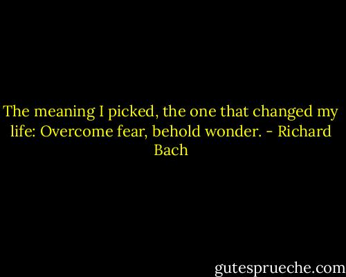 The meaning I picked, the one that changed my life: Overcome fear, behold wonder. - Richard Bach