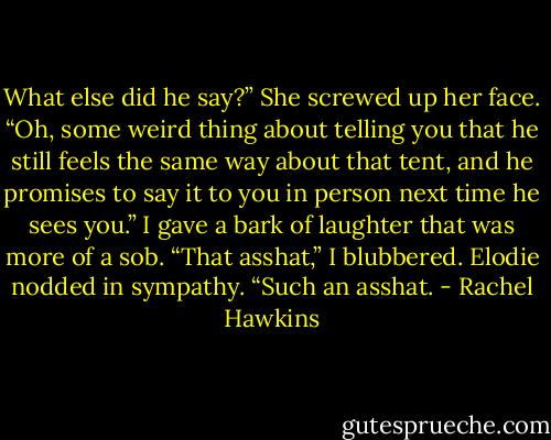 What else did he say?”<br />She screwed up her face. “Oh, some weird thing about telling you that he still feels the same way about that tent, and he promises to say it to you in person next time he sees you.”<br />I gave a bark of laughter that was more of a sob. “That asshat,” I blubbered.<br />Elodie nodded in sympathy. “Such an asshat. - Rachel Hawkins