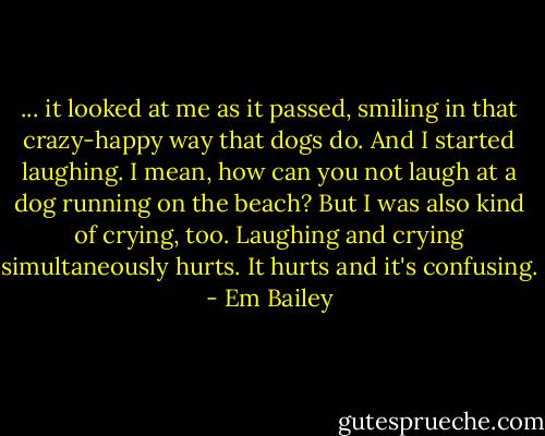 ... it looked at me as it passed, smiling in that crazy-happy way that dogs do. And I started laughing. I mean, how can you not laugh at a dog running on the beach? But I was also kind of crying, too. Laughing and crying simultaneously hurts. It hurts and it's confusing. - Em Bailey