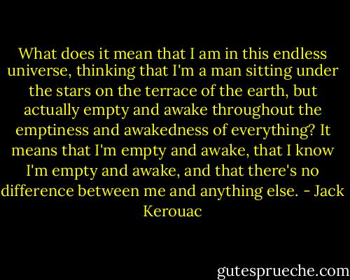 What does it mean that I am in this endless universe, thinking that I'm a man sitting under the stars on the terrace of the earth, but actually empty and awake throughout the emptiness and awakedness of everything? It means that I'm empty and awake, that I know I'm empty and awake, and that there's no difference between me and anything else. - Jack Kerouac