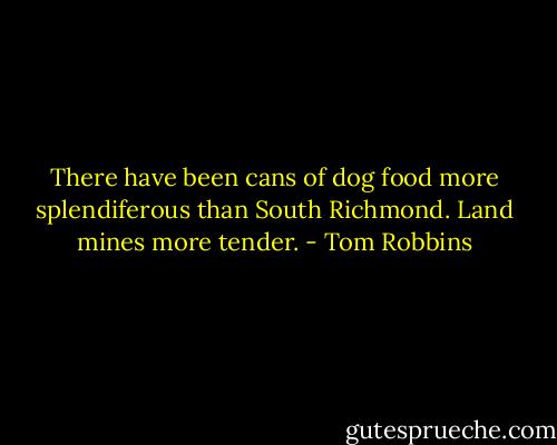 There have been cans of dog food more splendiferous than South Richmond. Land mines more tender. - Tom Robbins