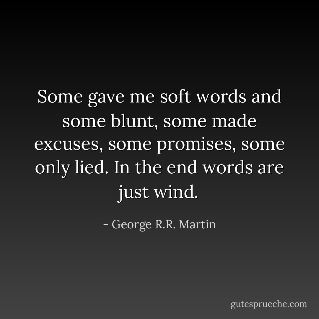 Some gave me soft words and some blunt, some made excuses, some promises, some only lied. In the end words are just wind. - George R.R. Martin