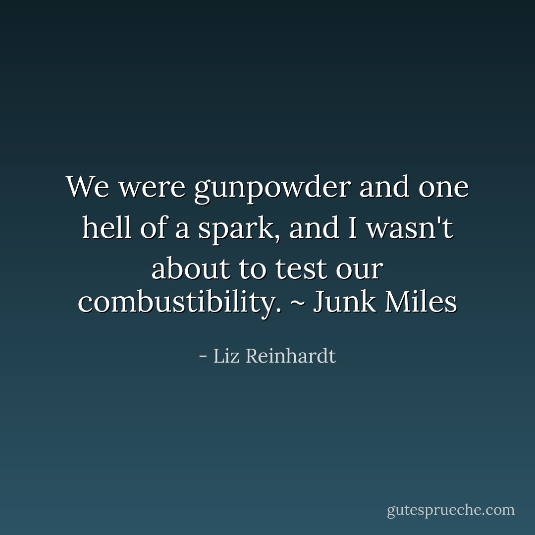 We were gunpowder and one hell of a spark, and I wasn't about to test our combustibility. ~ Junk Miles - Liz Reinhardt