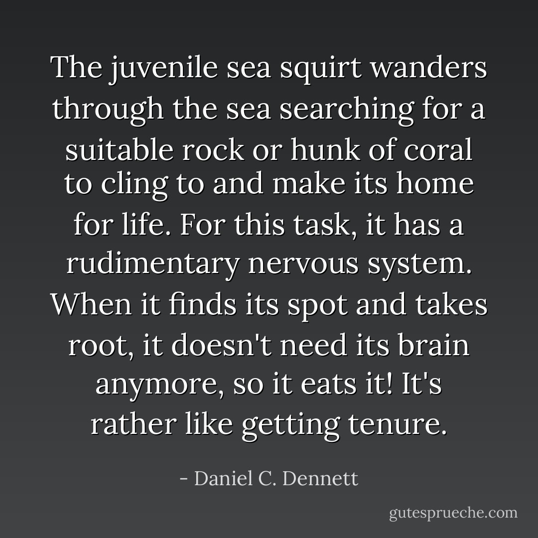 The juvenile sea squirt wanders through the sea searching for a suitable rock or hunk of coral to cling to and make its home for life. For this task, it has a rudimentary nervous system. When it finds its spot and takes root, it doesn't need its brain anymore, so it eats it! It's rather like getting tenure. - Daniel C. Dennett