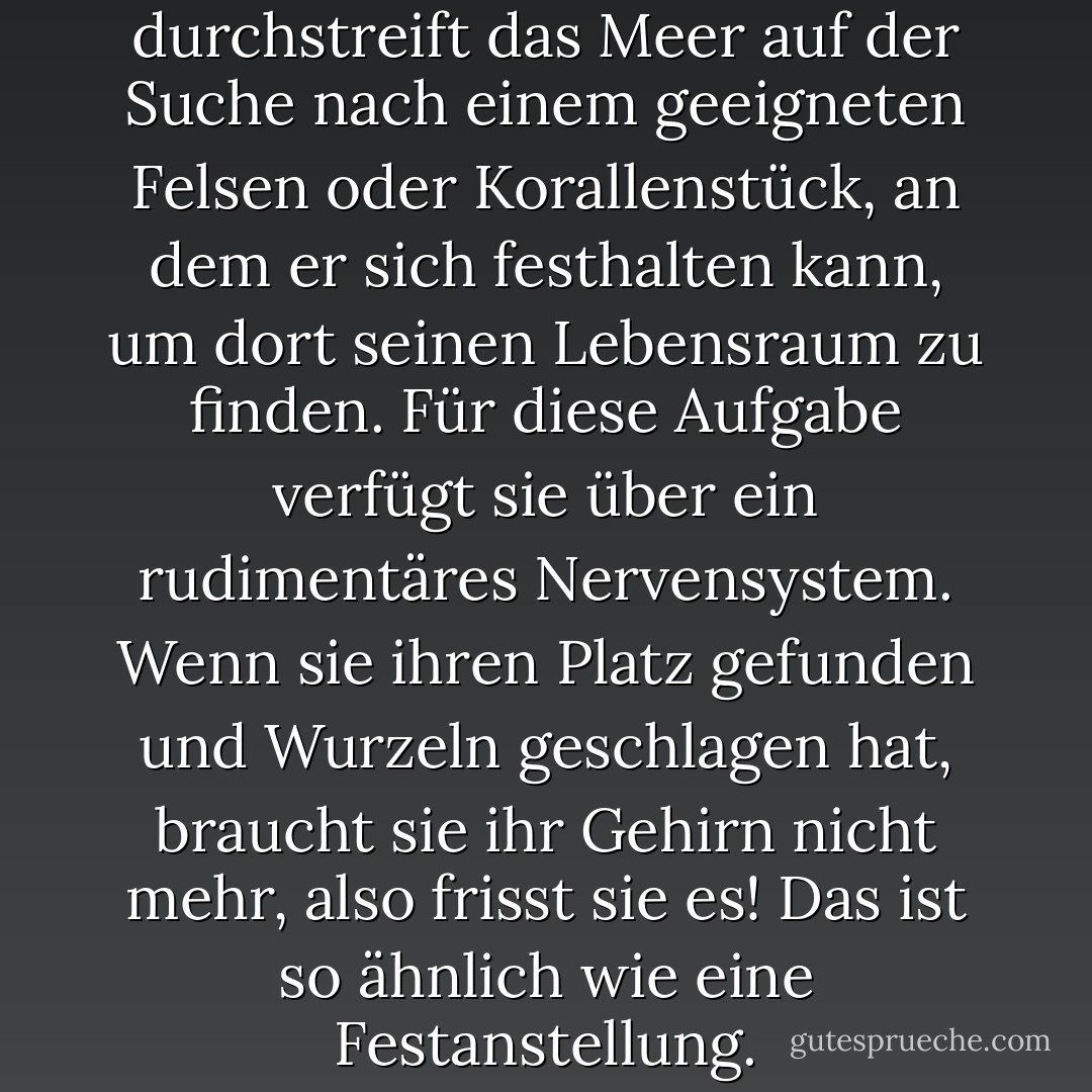 Der junge Seescheide durchstreift das Meer auf der Suche nach einem geeigneten Felsen oder Korallenstück, an dem er sich festhalten kann, um dort seinen Lebensraum zu finden. Für diese Aufgabe verfügt sie über ein rudimentäres Nervensystem. Wenn sie ihren Platz gefunden und Wurzeln geschlagen hat, braucht sie ihr Gehirn nicht mehr, also frisst sie es! Das ist so ähnlich wie eine Festanstellung. - Daniel C. Dennett<