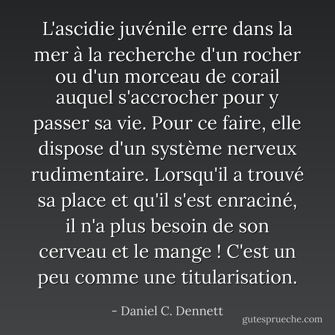L'ascidie juvénile erre dans la mer à la recherche d'un rocher ou d'un morceau de corail auquel s'accrocher pour y passer sa vie. Pour ce faire, elle dispose d'un système nerveux rudimentaire. Lorsqu'il a trouvé sa place et qu'il s'est enraciné, il n'a plus besoin de son cerveau et le mange ! C'est un peu comme une titularisation. - Daniel C. Dennett
