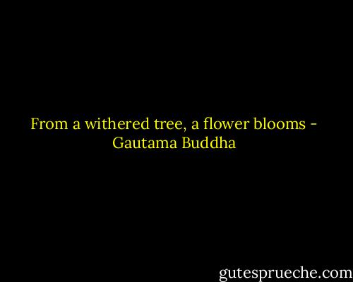 From a withered tree, a flower blooms - Gautama Buddha